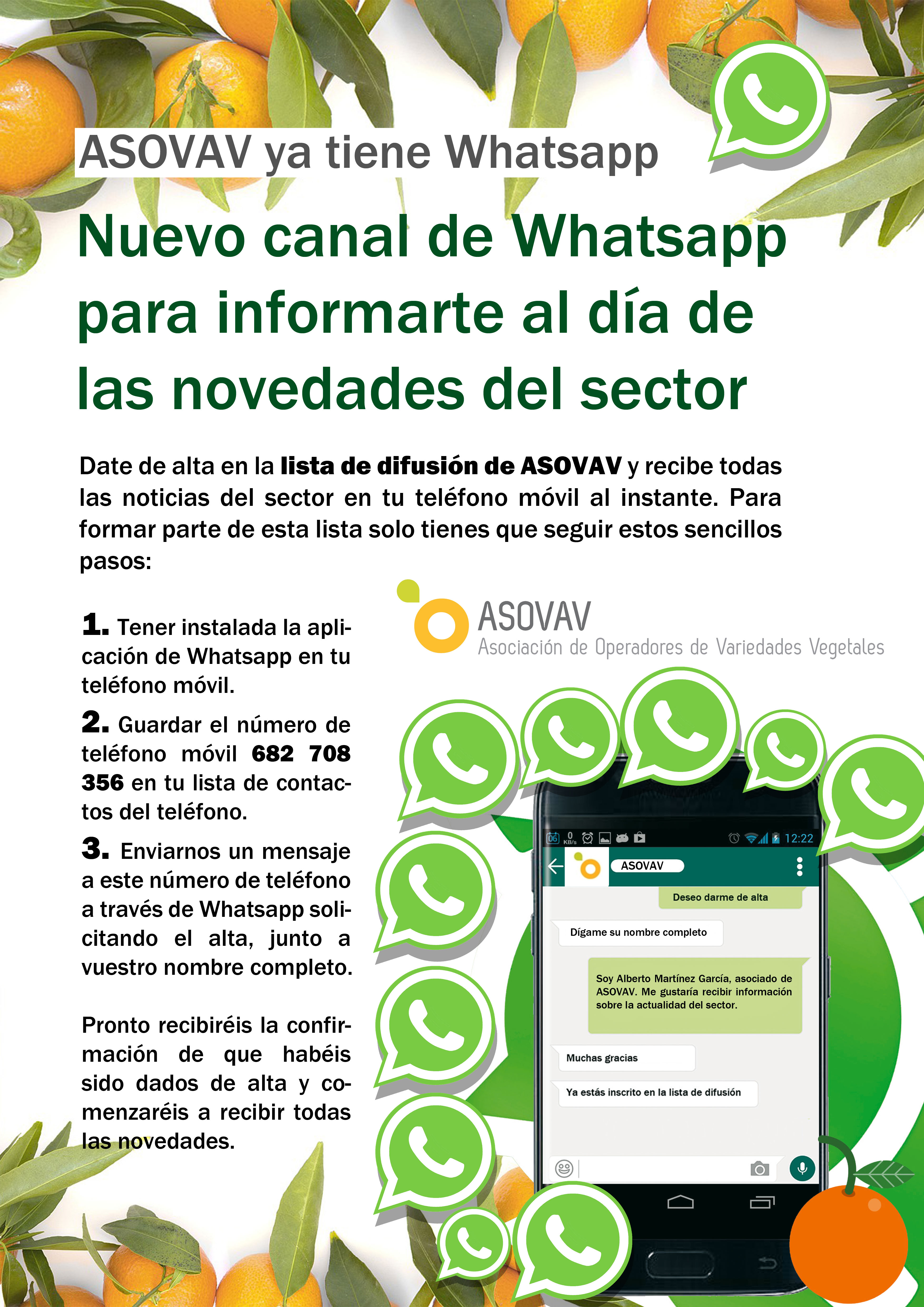 whatsapp-cartel